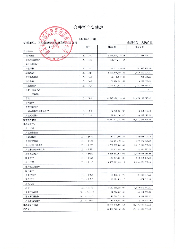 丽水南城新区投资发展有限公司2023年半年度财务报表