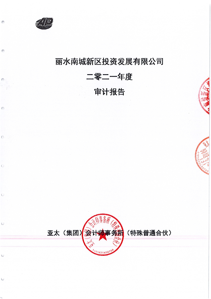 丽水南城新区投资发展有限公司2021年度审计报告