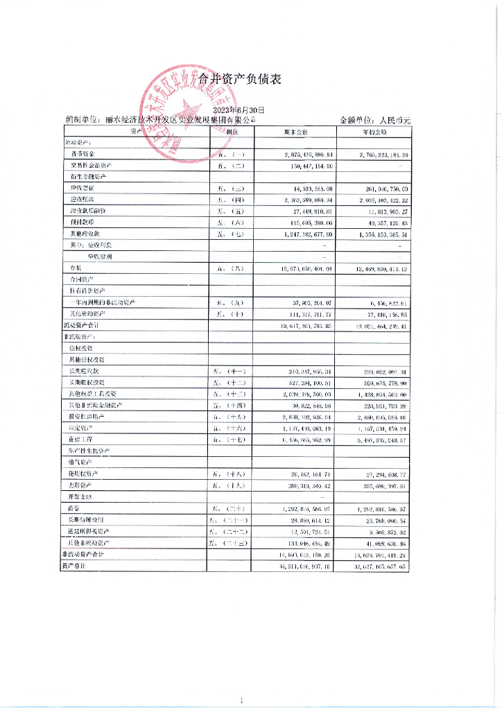 丽水经济技术开发区实业发展集团有限公司2023年半年度财务报表