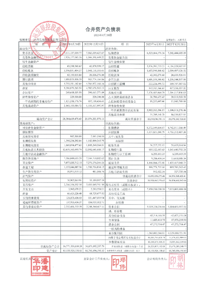 泸州发展控股集团有限公司2023年度上半年财务报表