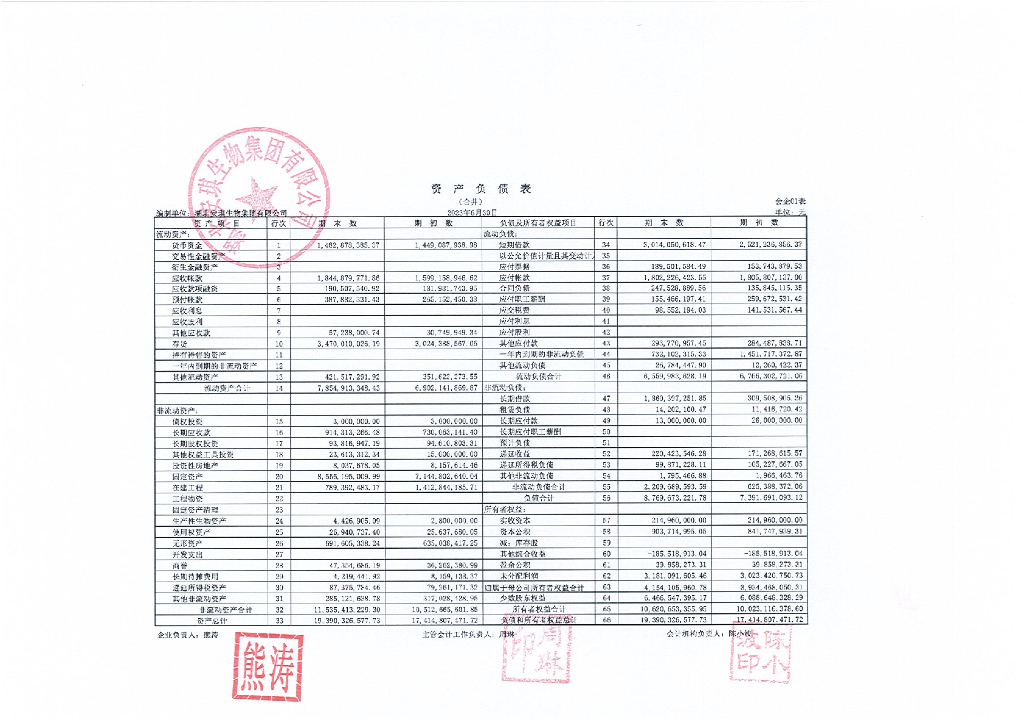 湖北安琪生物集团有限公司2023年1-6月财务报表