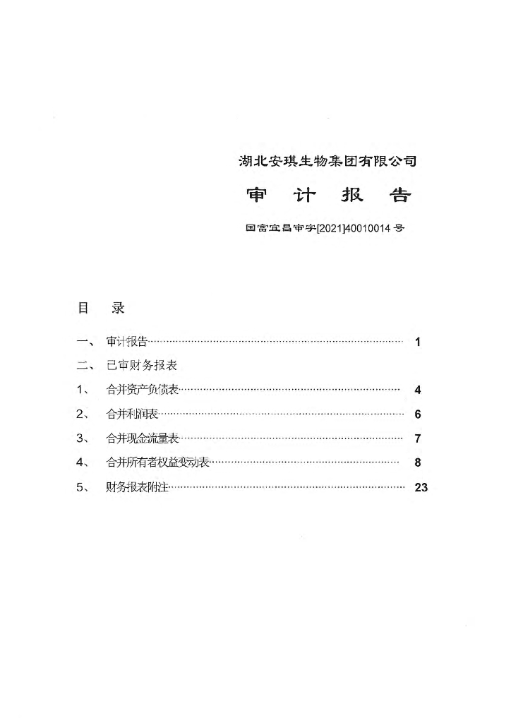 湖北安琪生物集团有限公司2020年审计报告