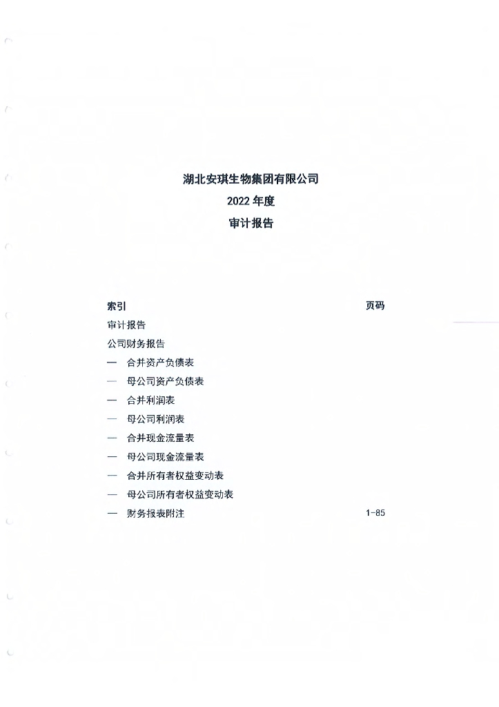 湖北安琪生物集团有限公司2022年审计报告