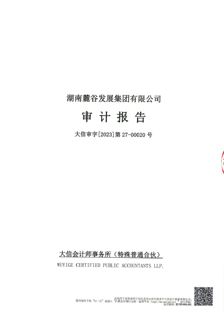 湖南麓谷发展集团有限公司2020年经审计的合并及母公司财务报告
