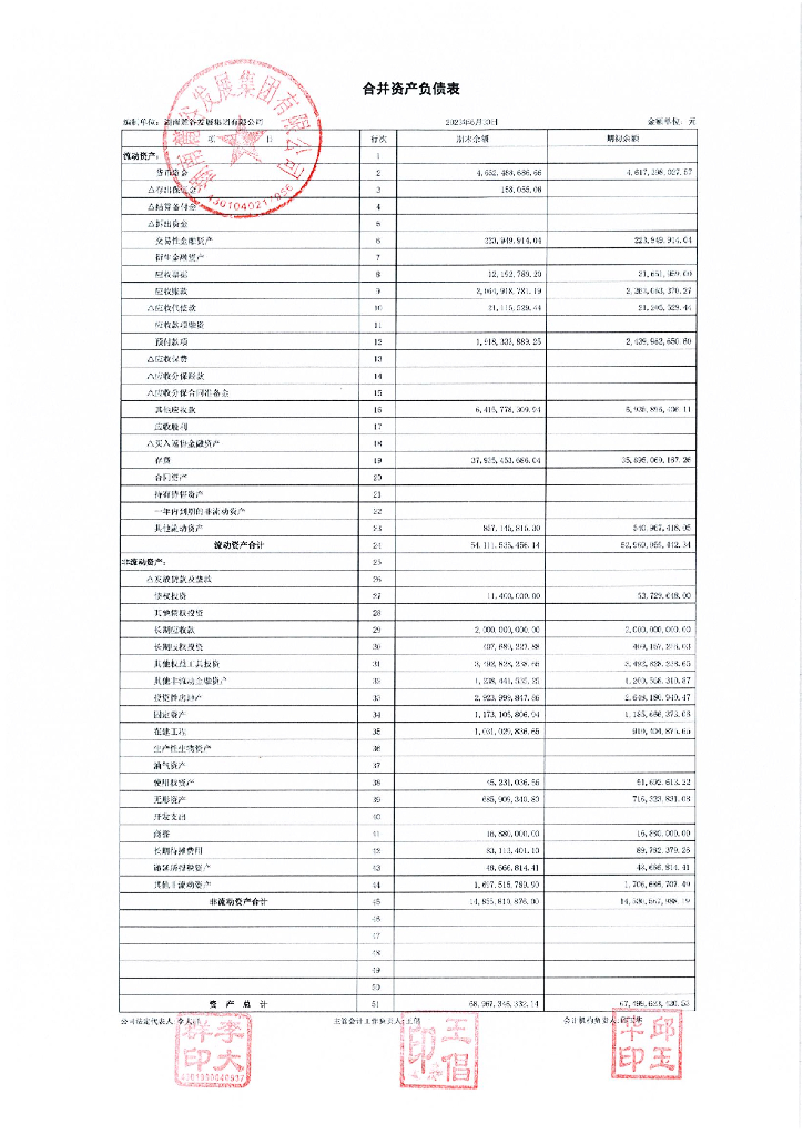 湖南麓谷发展集团有限公司2023年1-6月合并及母公司财务报表