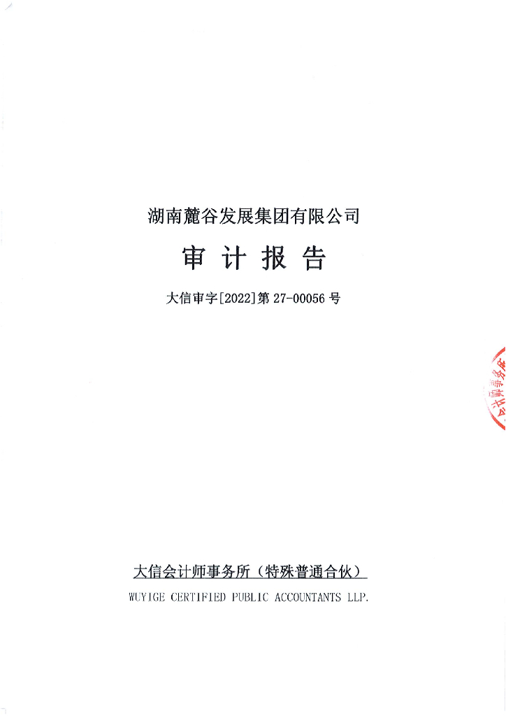 湖南麓谷发展集团有限公司2021年经审计的合并及母公司财务报告
