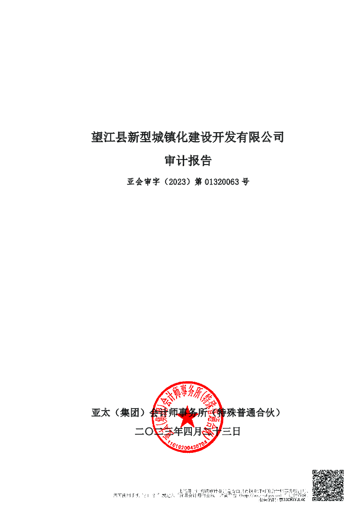 望江县新型城镇化建设开发有限公司2022年审计报告