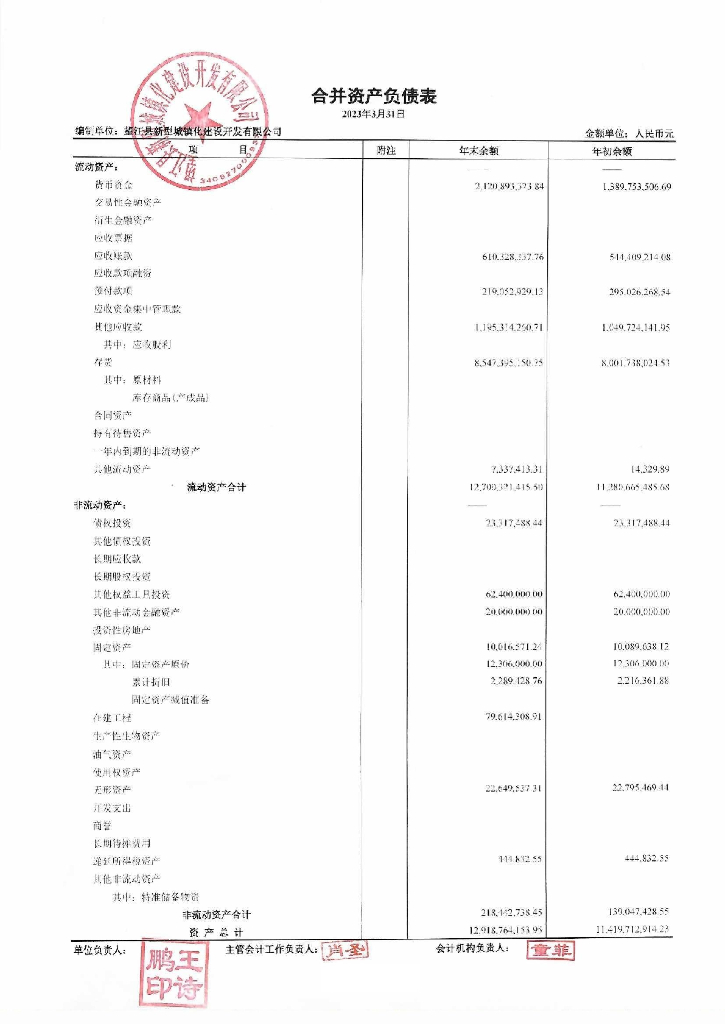 望江县新型城镇化建设开发有限公司2023年一季度财务报表