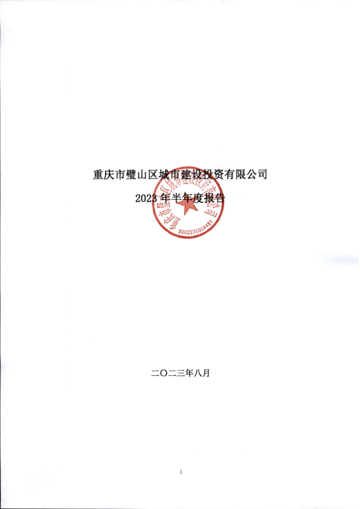 重庆市璧山区城市建设投资有限公司2023年半年度财务报表