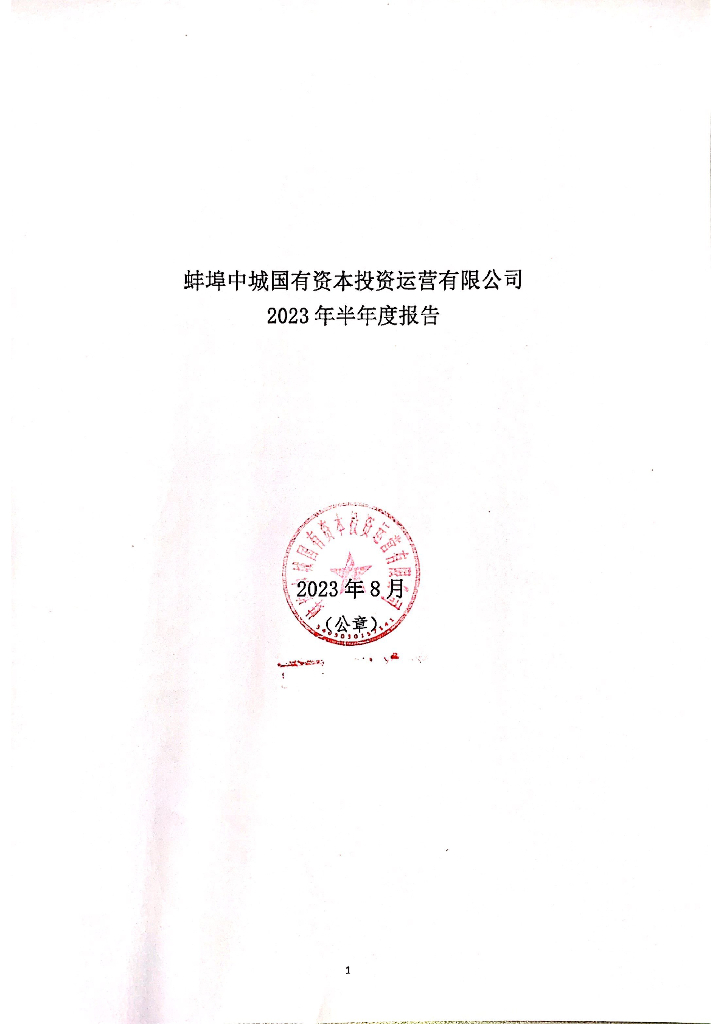 蚌埠中城国有资本投资运营有限公司2023年半年度报告