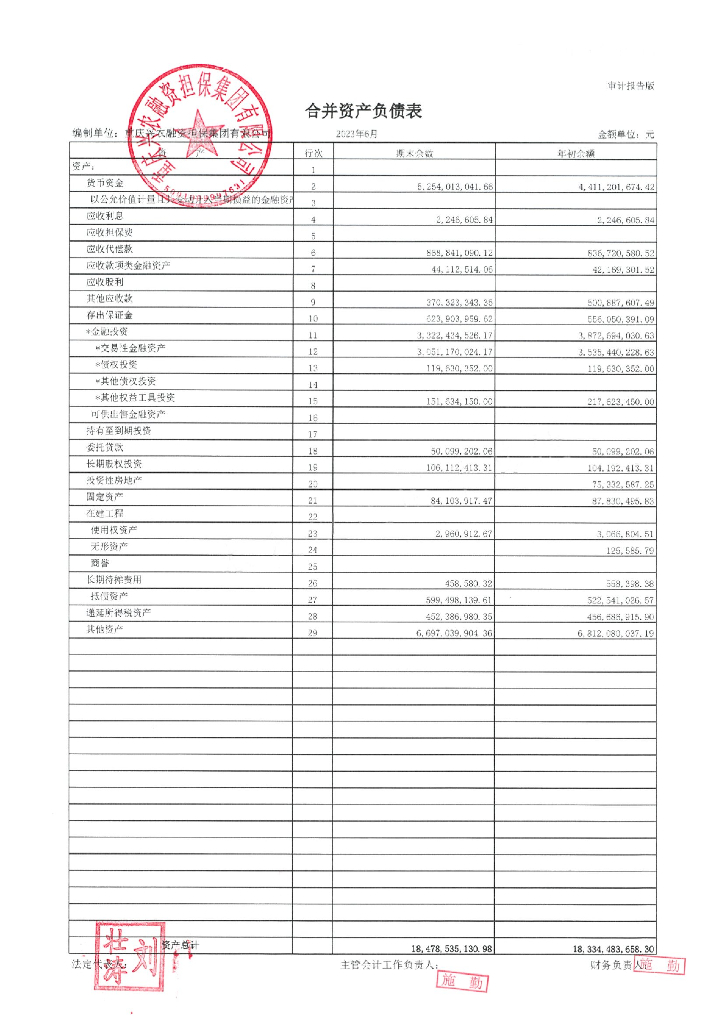 重庆兴农融资担保集团有限公司2023年半年度财务报表