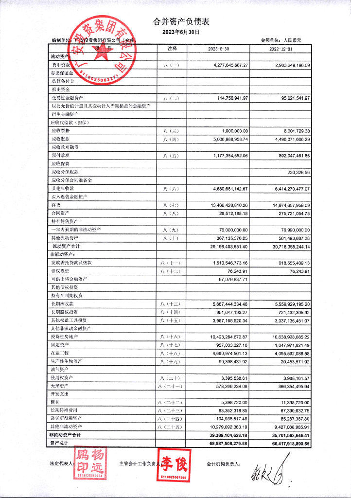 广安投资集团有限公司2023年半年度财务报表