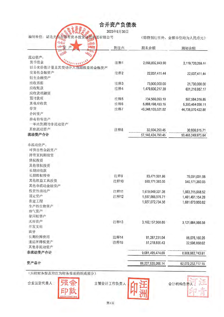 湖北光谷东国有资本投资运营集团有限公司公司债券2023年半年度财务报表及附注