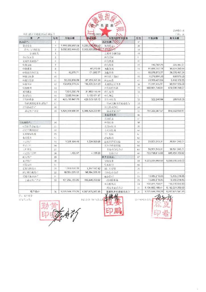 浙江省融资担保有限公司2023年半年度财务报表