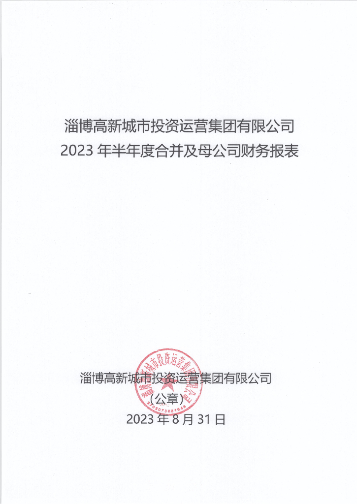 淄博高新城市投资运营集团有限公司2023年半年度合并及母公司财务报表