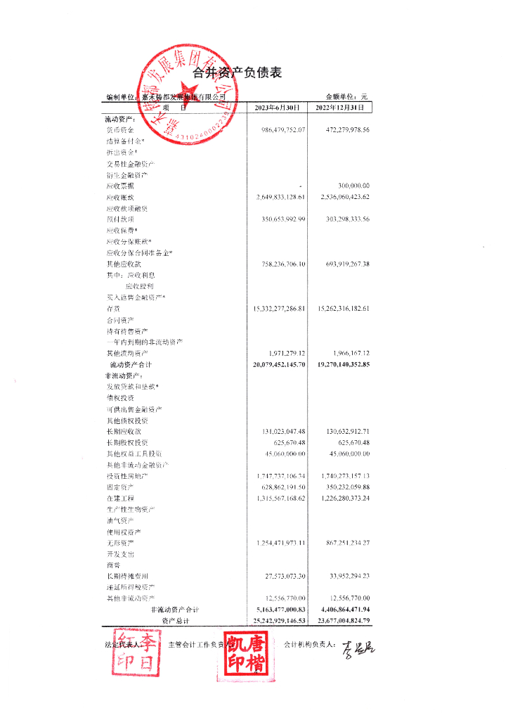 嘉禾铸都发展集团有限公司公司债券2023年半年度财务报告及附注