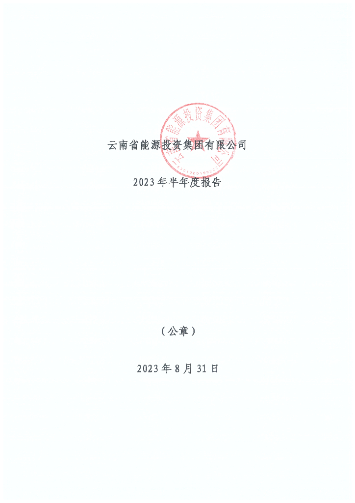 云南省能源投资集团有限公司2023年半年度报告