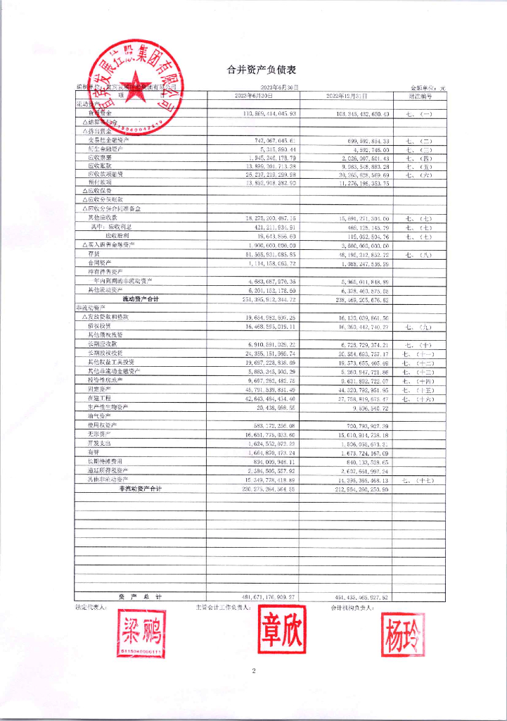 宜宾发展控股集团有限公司2023年半年度财务报告及附注