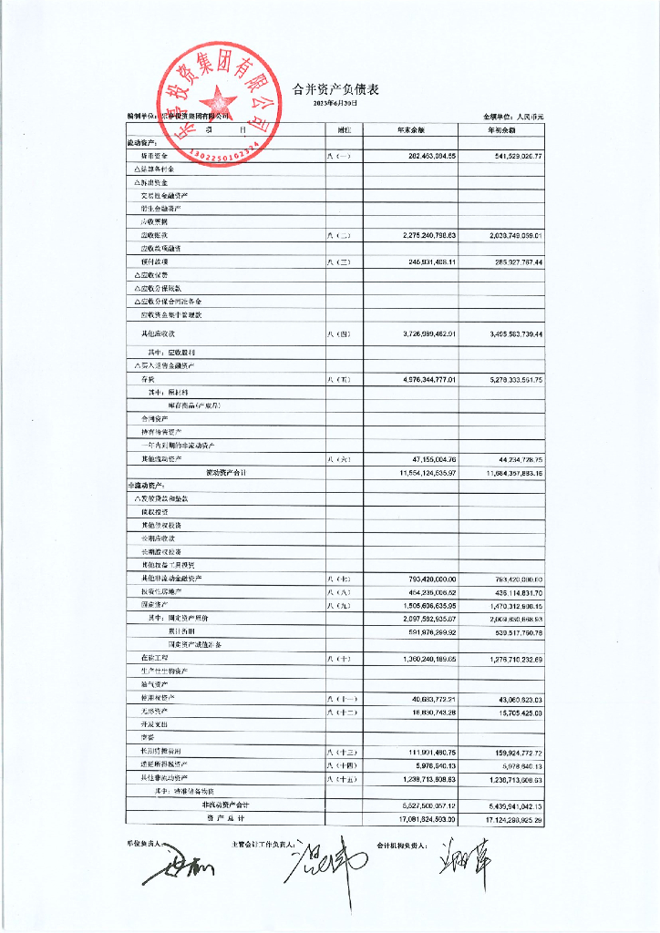 乐亭投资集团有限公司2023年半年度财务报表及附注