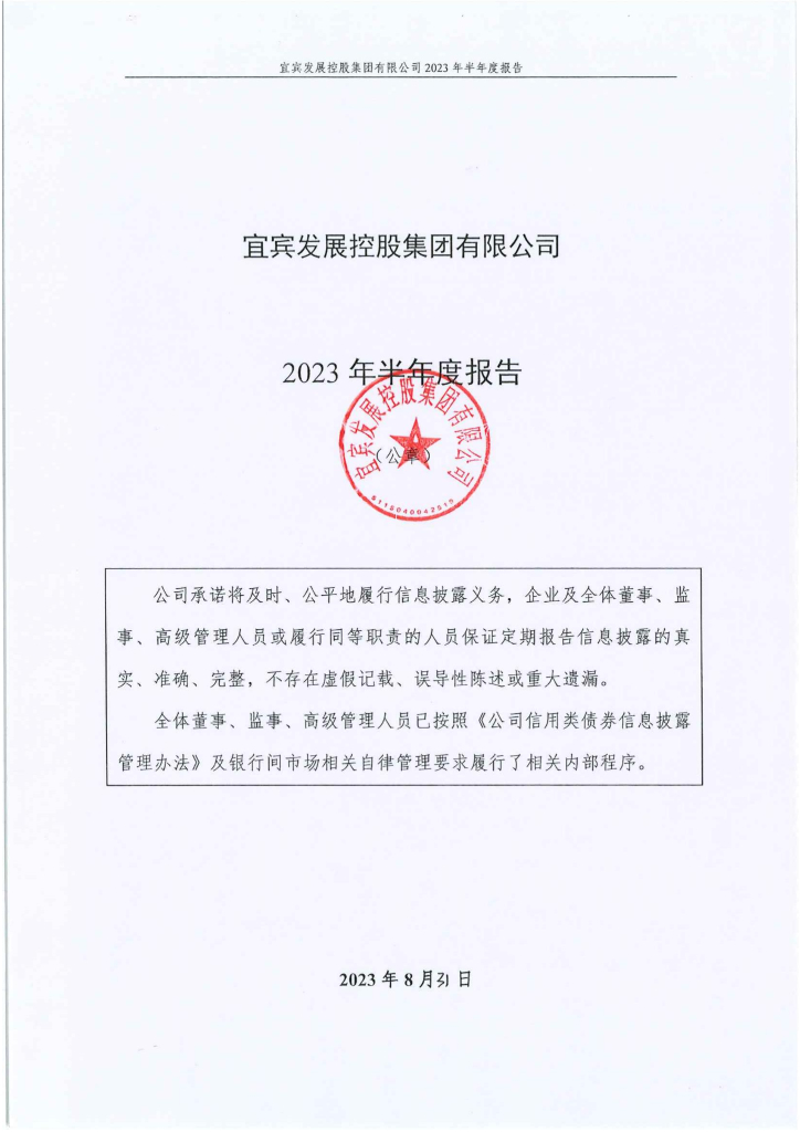 宜宾发展控股集团有限公司2023年半年度报告