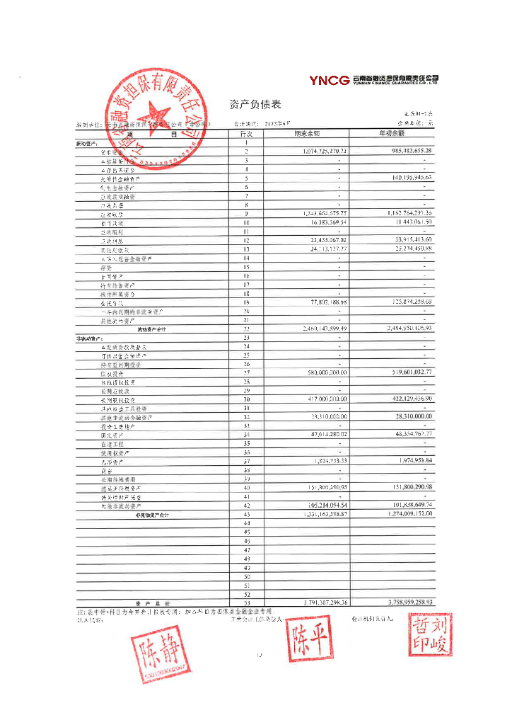 云南省融资担保有限责任公司2023上半年度合并及母公司财务报表