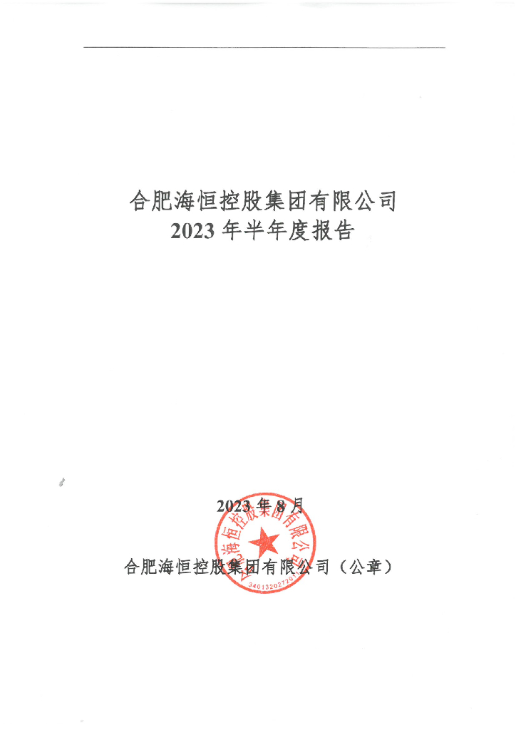 合肥海恒控股集团有限公司2023年半年度报告