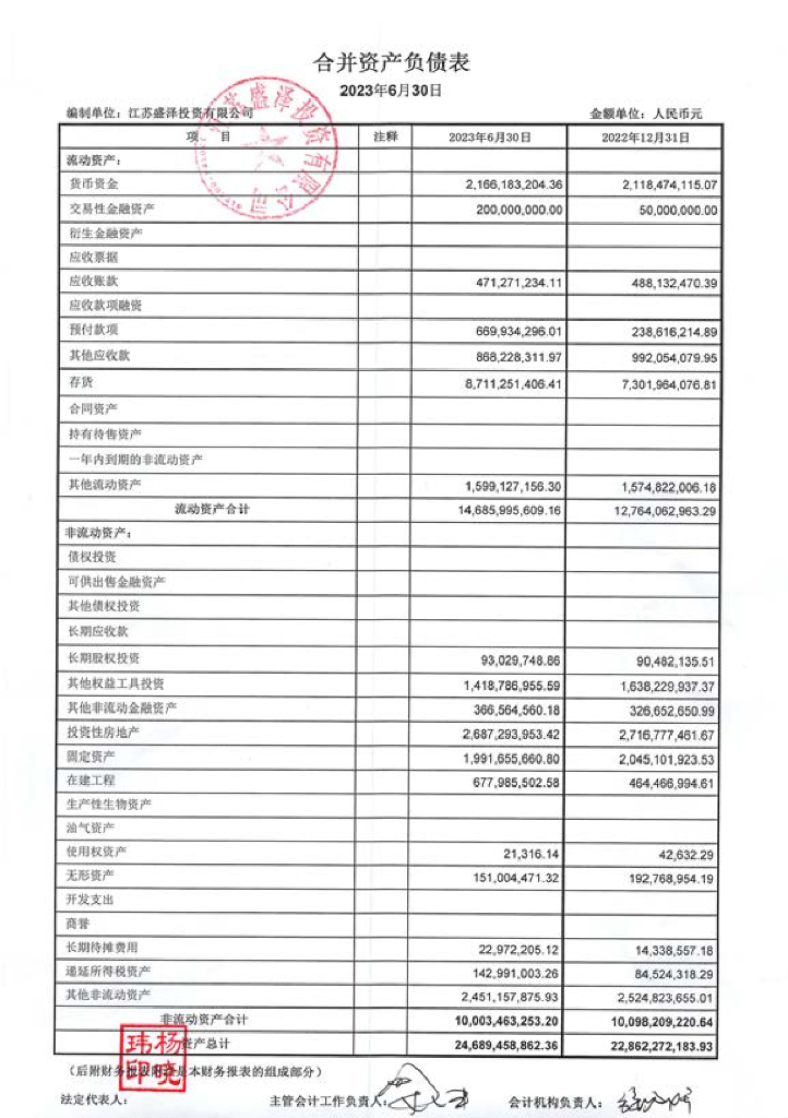 江苏盛泽投资有限公司2023年半年度财务报表及附注(含担保人)