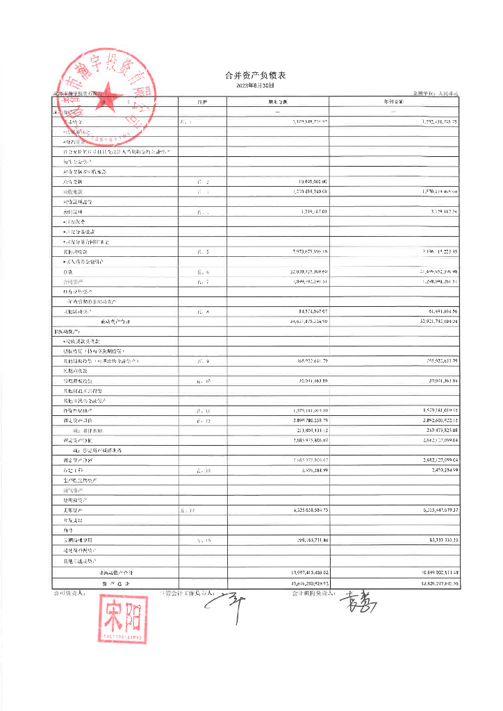 成都市瀚宇投资有限公司公司债券2023年半年度财务报表及附注(含担保人财务报表)