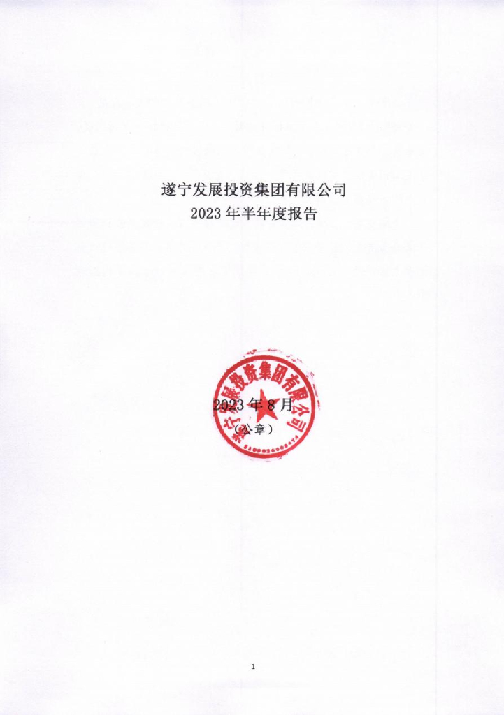 遂宁发展投资集团有限公司关于2023年半年度报告的更正公告及更正后的材料