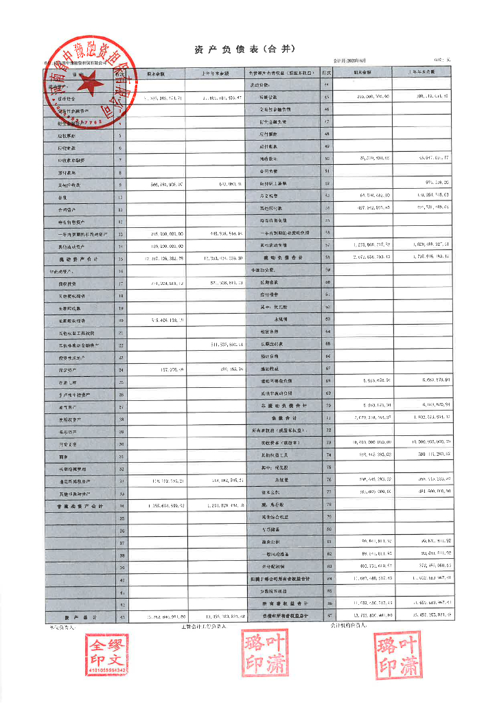 河南省中豫融资担保有限公司2023年半年度财务报表及附注