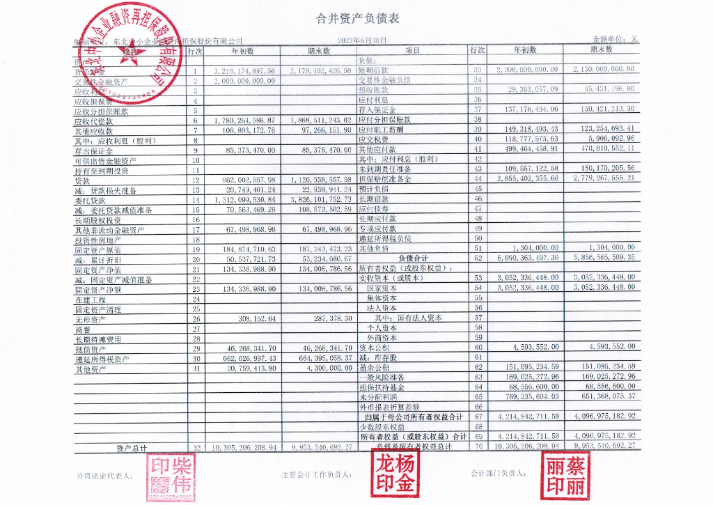 东北中小企业融资再担保股份有限公司2023年半年度财务报表
