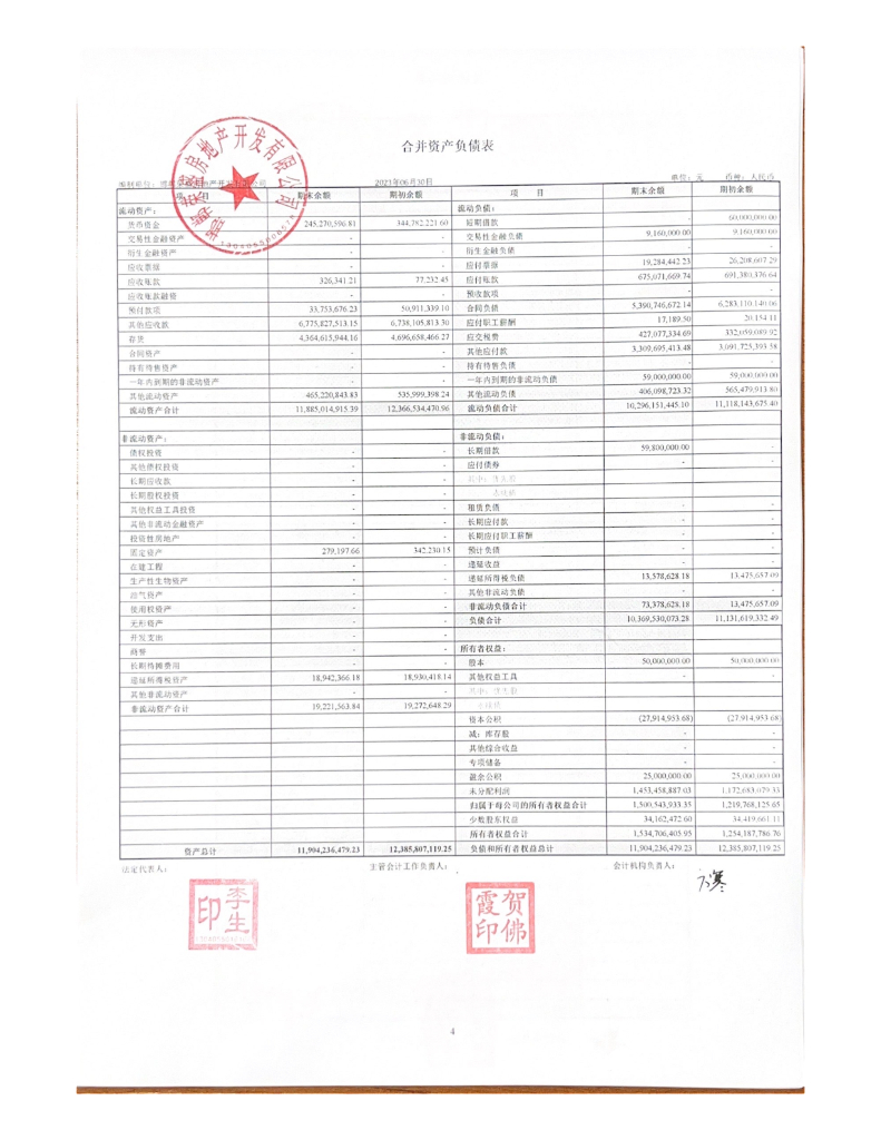 邯郸荣盛房地产开发有限公司2023年半年度财务报表
