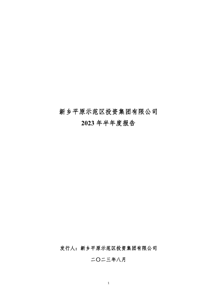 新乡平原示范区投资集团有限公司2023年半年度财务报表
