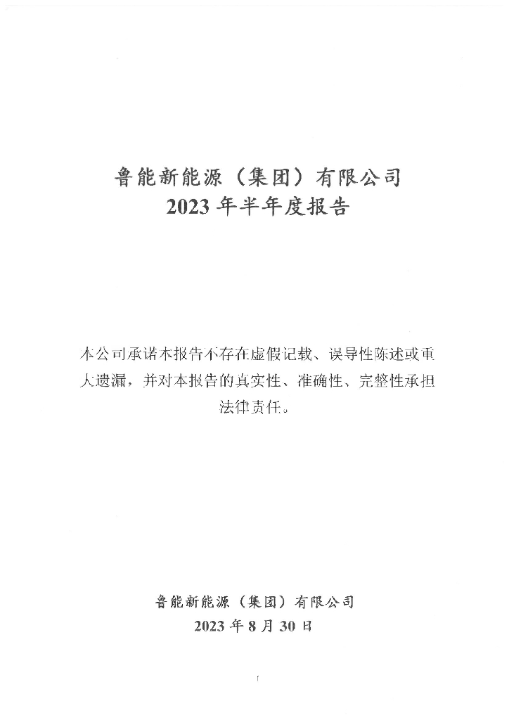 鲁能新能源(集团)有限公司2023年半年度报告