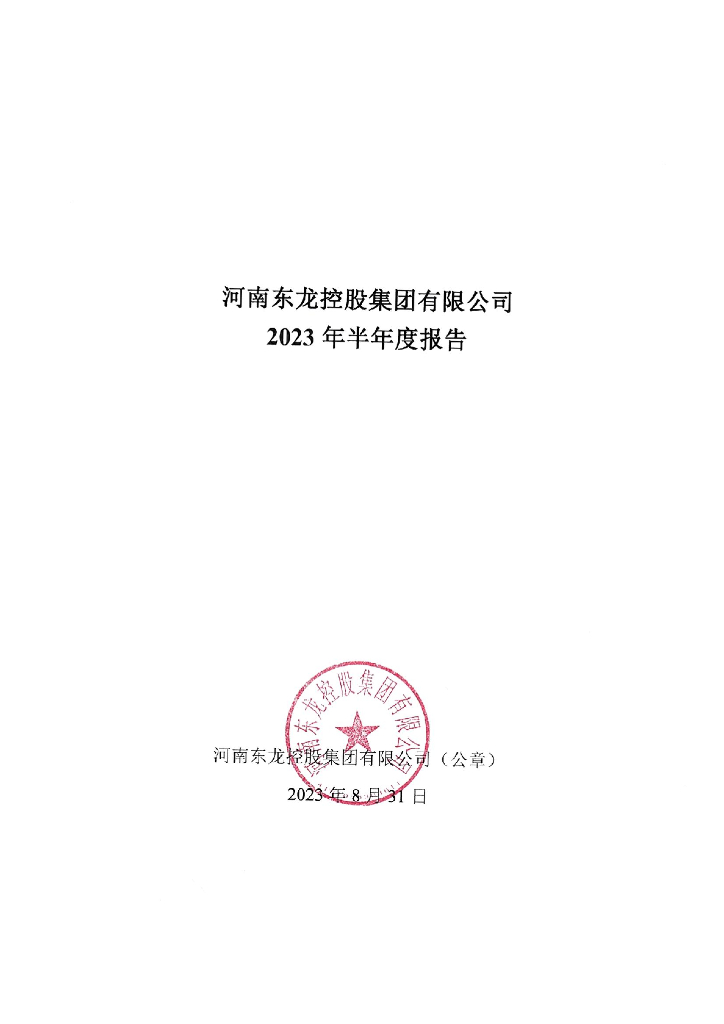 河南东龙控股集团有限公司2023年半年度报告