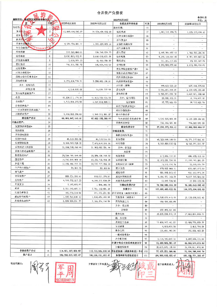 海南省发展控股有限公司2023年半年度财务报告