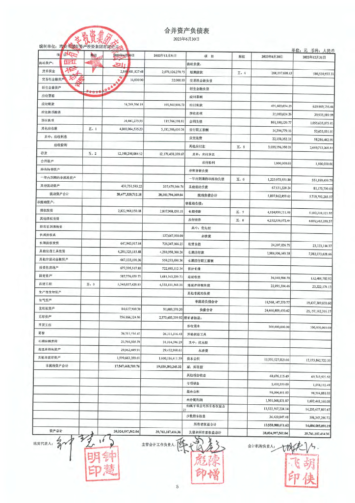 瑞安市国有资产投资集团有限公司2023年半年度财务报表及附注
