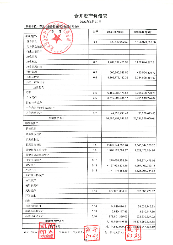 寿光市金宏投资开发集团有限公司2023年半年度财务报表