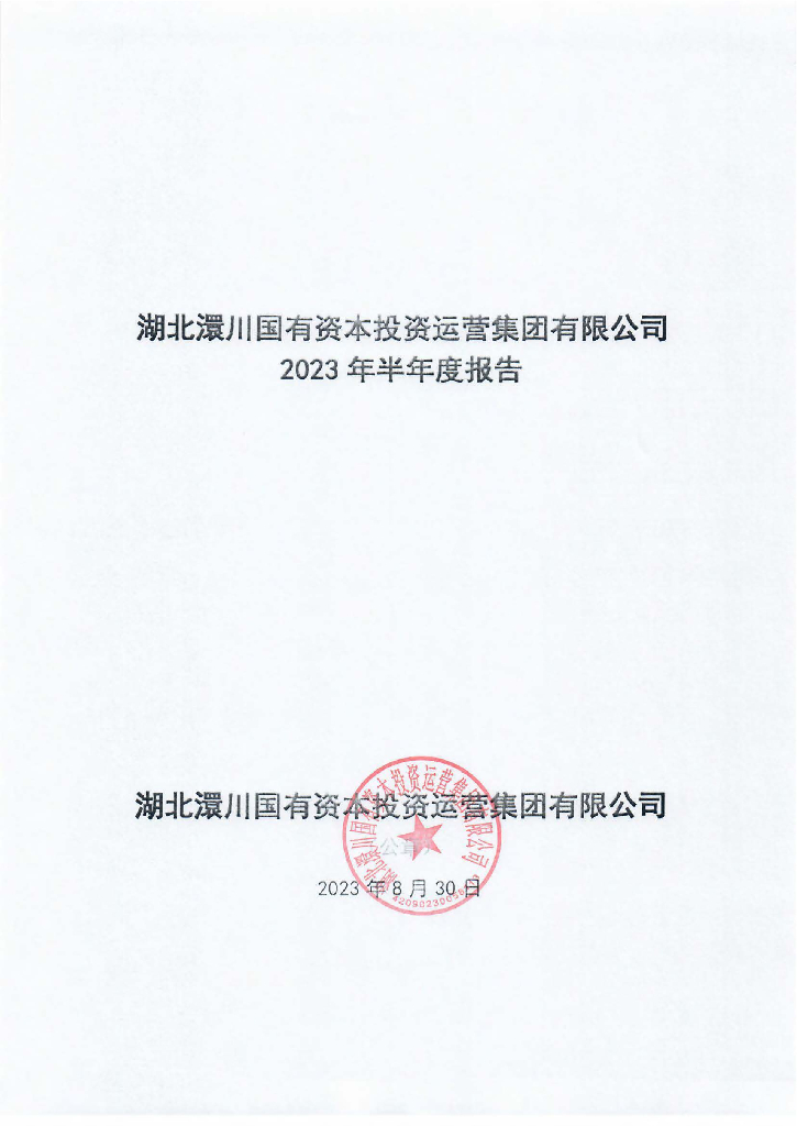 湖北澴川国有资本投资运营集团有限公司2023年半年度报告