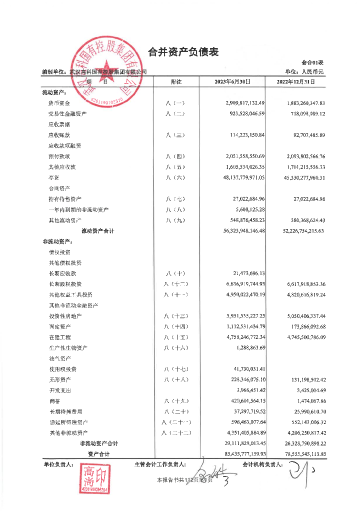武汉高科国有控股集团有限公司2023年半年度财务报告