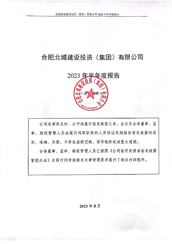 合肥北城建设投资(集团)有限公司2023年半年度报告
