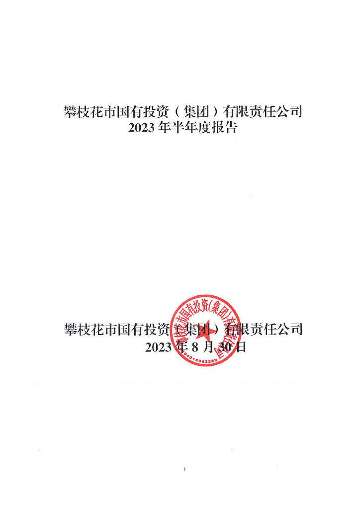 攀枝花市国有投资(集团)有限责任公司2023年半年度报告