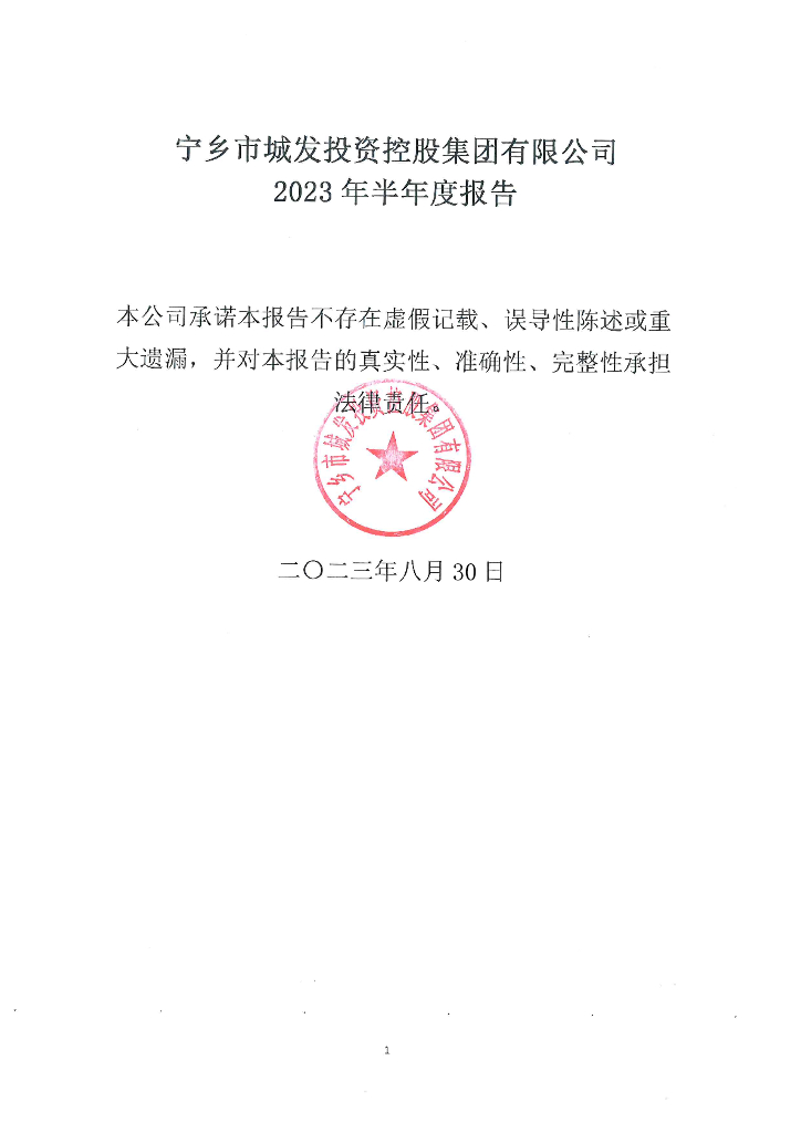 宁乡市城发投资控股集团有限公司2023年半年度报告