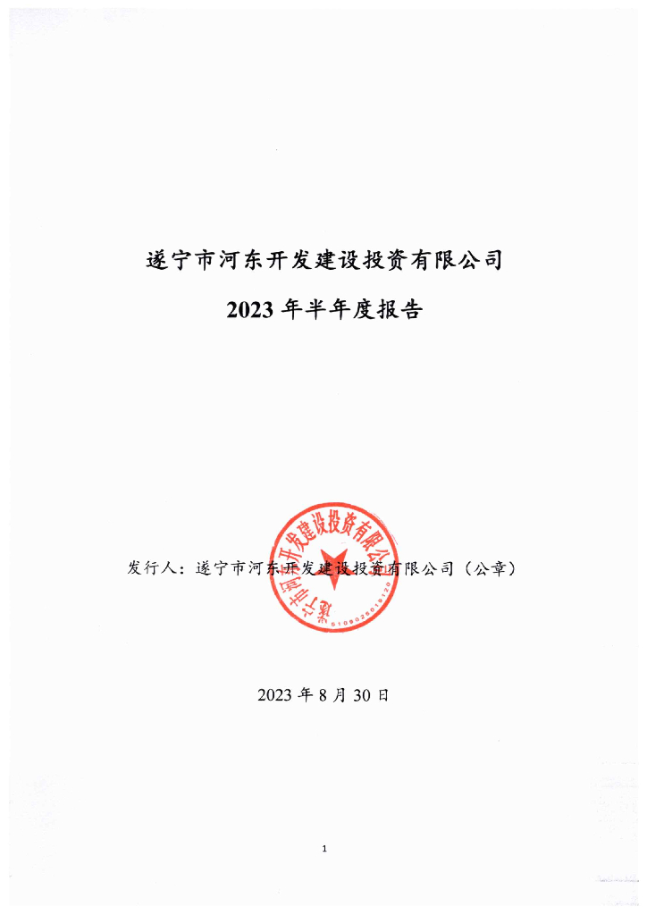 遂宁市河东开发建设投资有限公司2023年半年度报告