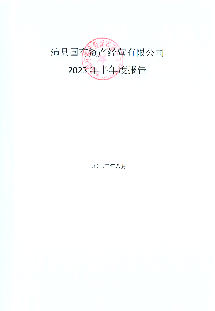 沛县国有资产经营有限公司2023年半年度报告