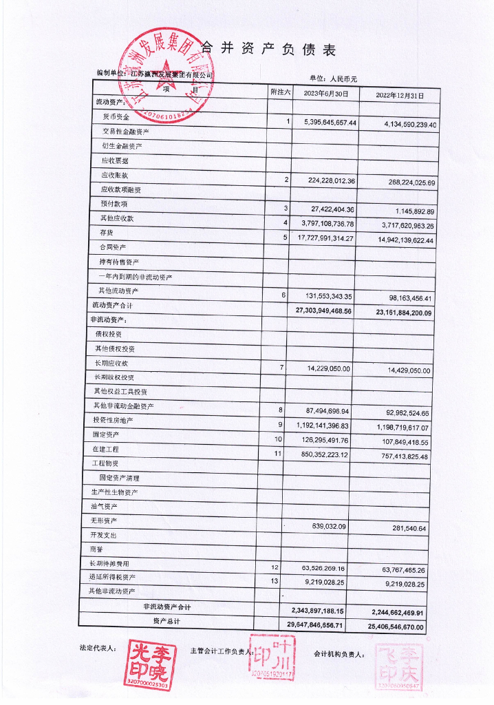 江苏瀛洲发展集团有限公司2023年半年度财务报表及附注