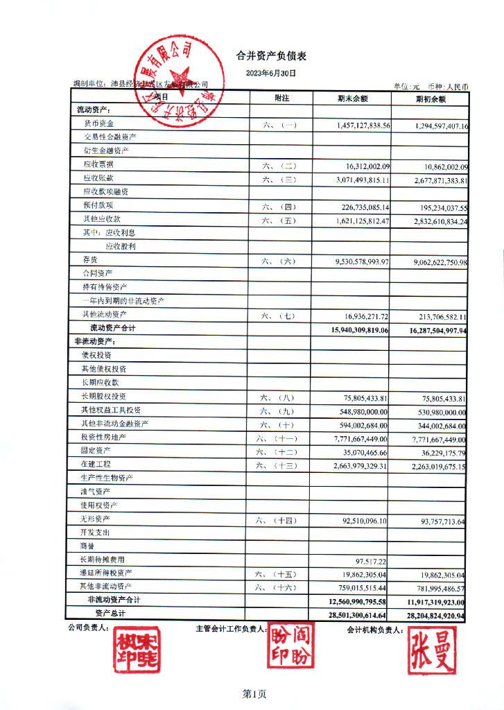沛县经济开发区发展有限公司2023年半年度报表(含担保人)
