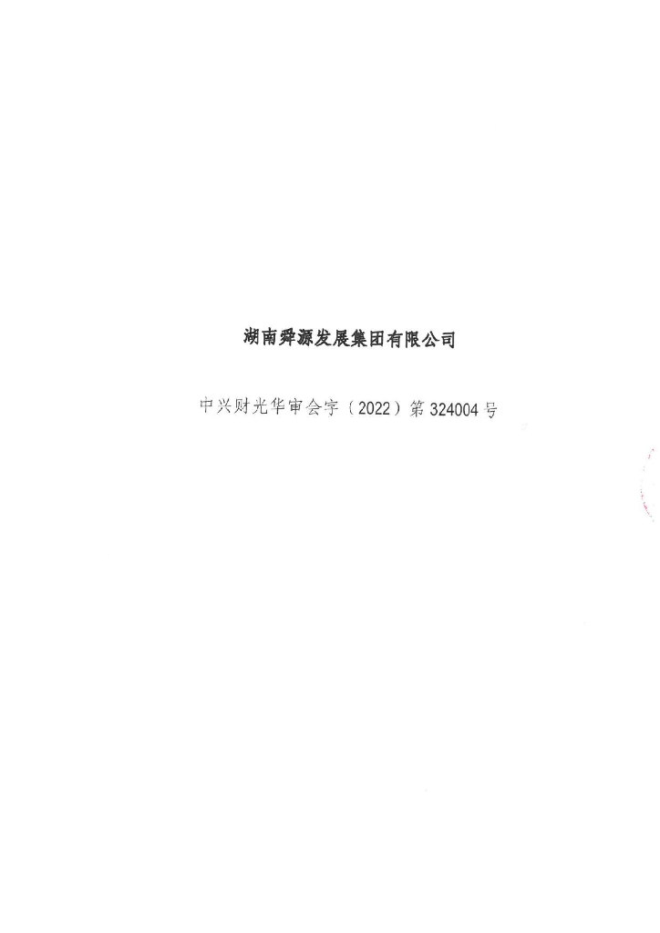 湖南舜源发展集团有限公司2019-2021年度审计报告