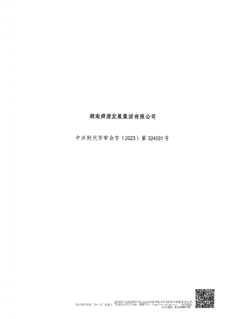 湖南舜源发展集团有限公司2022年度审计报告