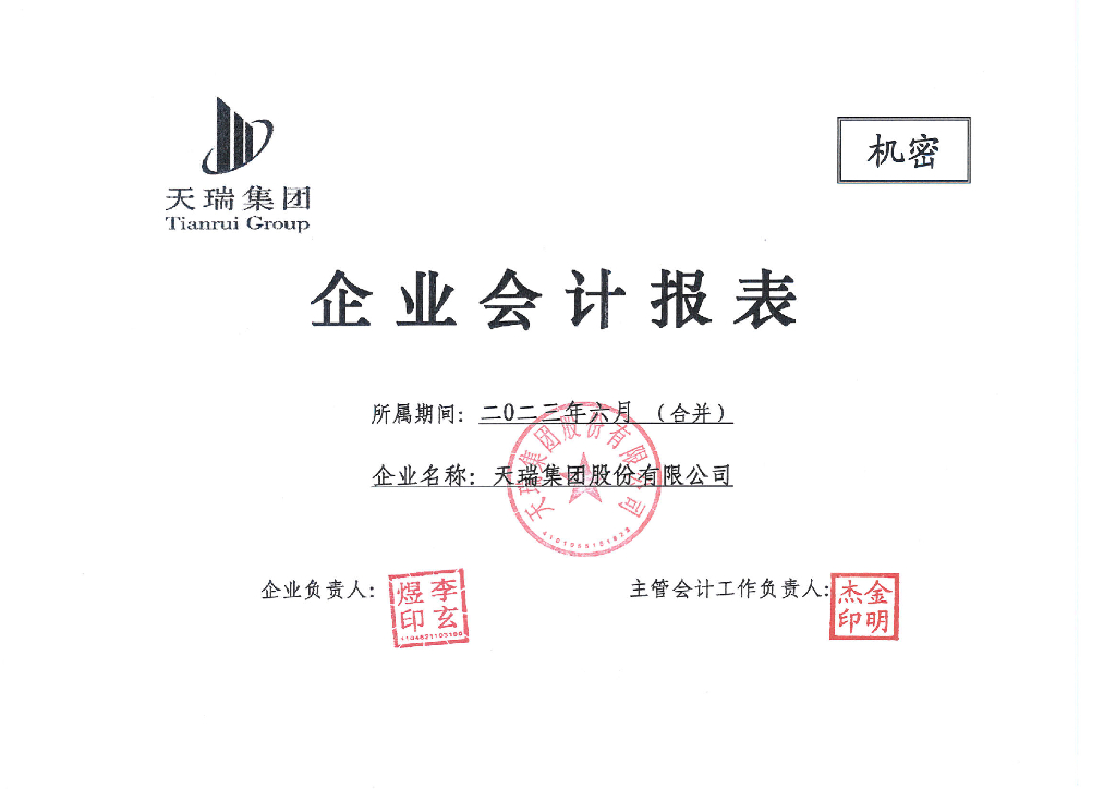 天瑞集团股份有限公司2023年上半年财务报表及附注